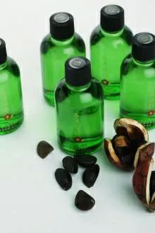 ＳＡＤＯ 天然椿オイル100％（20g）